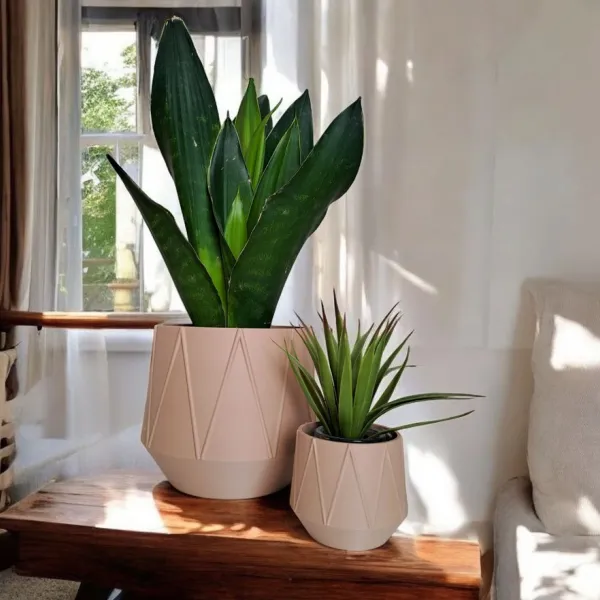 GeoBloom Planter
