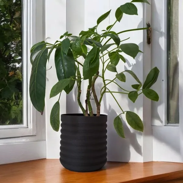 RippleBloom Wavy Planter