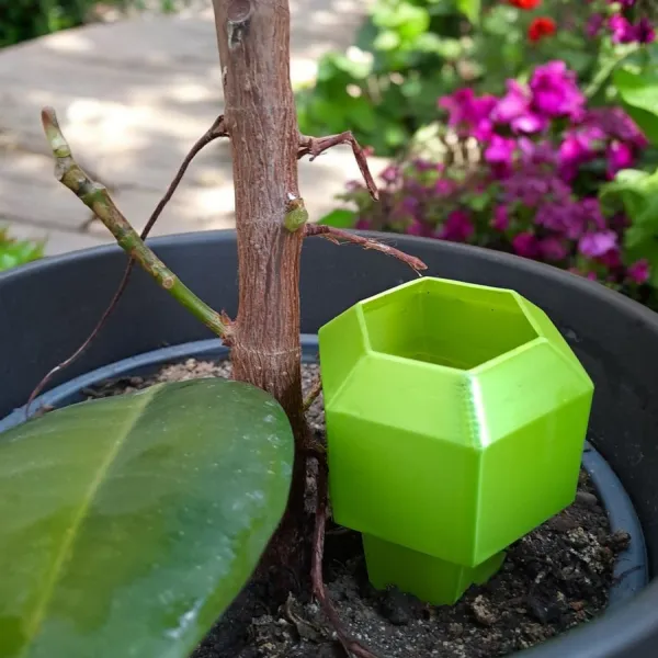Hexagonal Plant Watering Spike