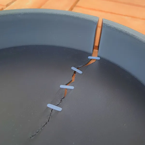 Catchall Tray, "It Wasn't Me"
