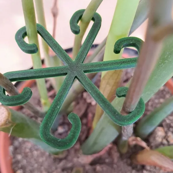 Plant Support Hook