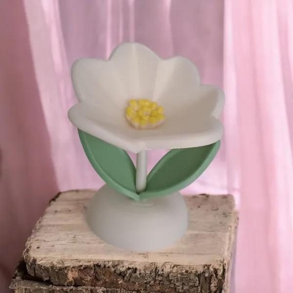 Eternal Spring Flower