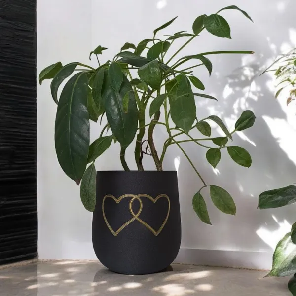 Two Hearts Plant Pot
