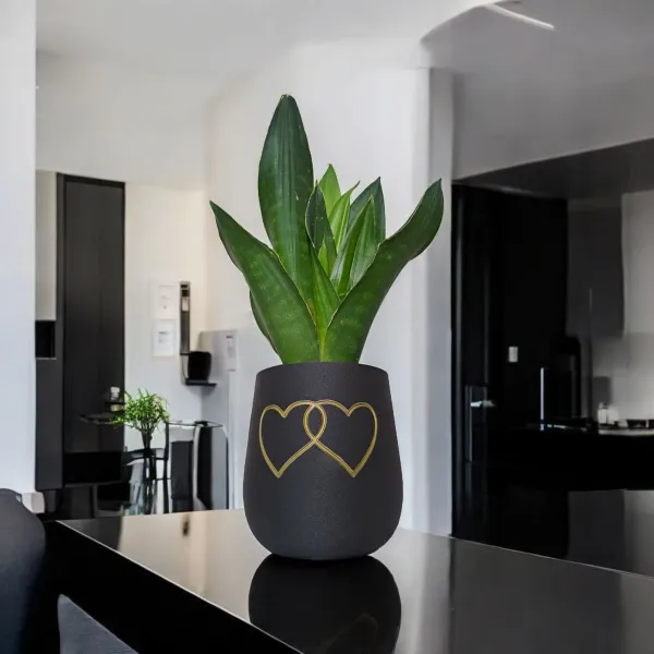 Two Hearts Plant Pot