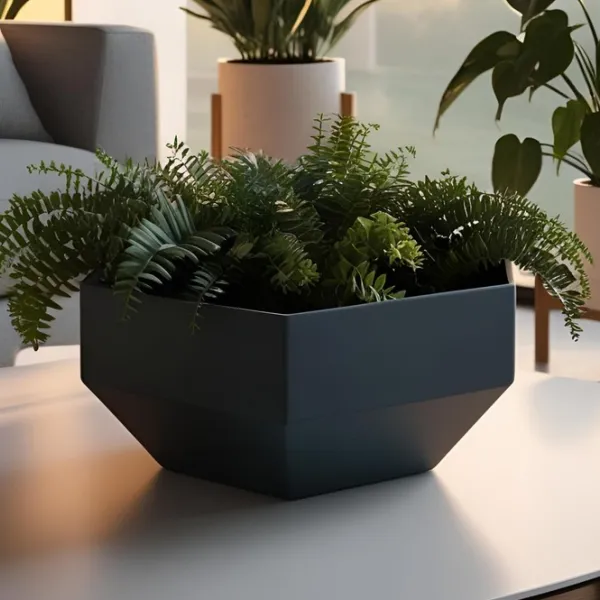 Hexagonal Planter
