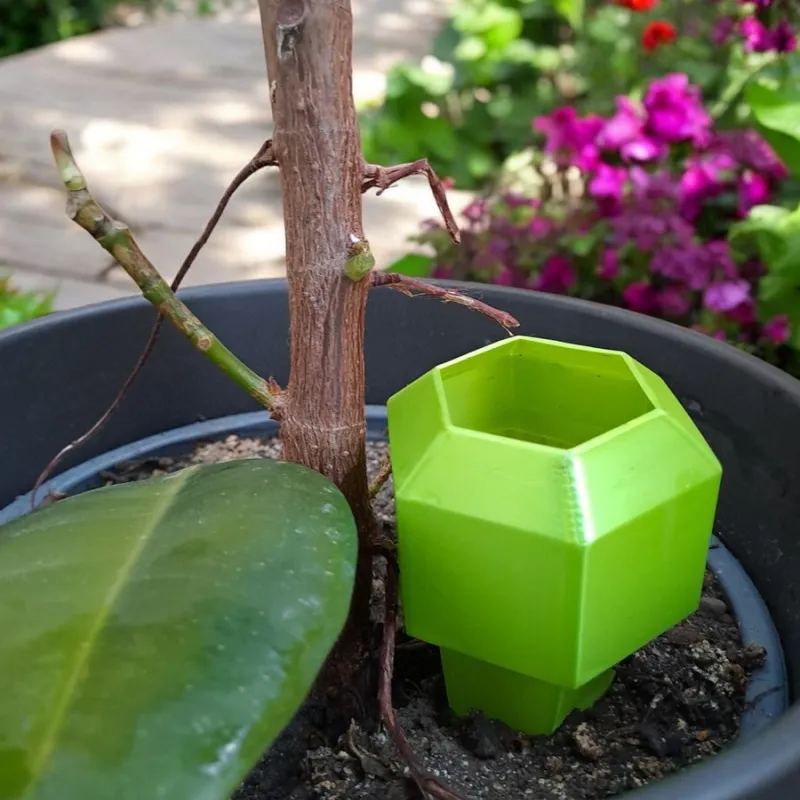 Hexagonal Plant Watering Spike