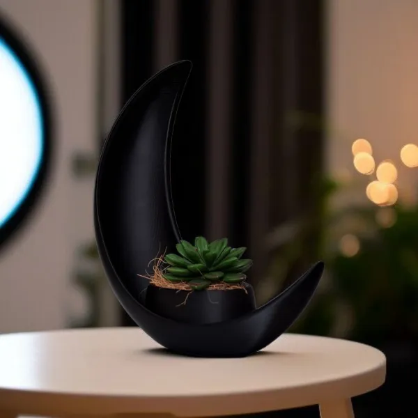 Crescent Moon Decoration with Elliptical Plant Pot