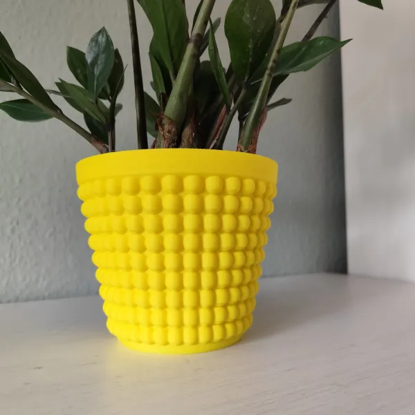 Bubble Plant Pot