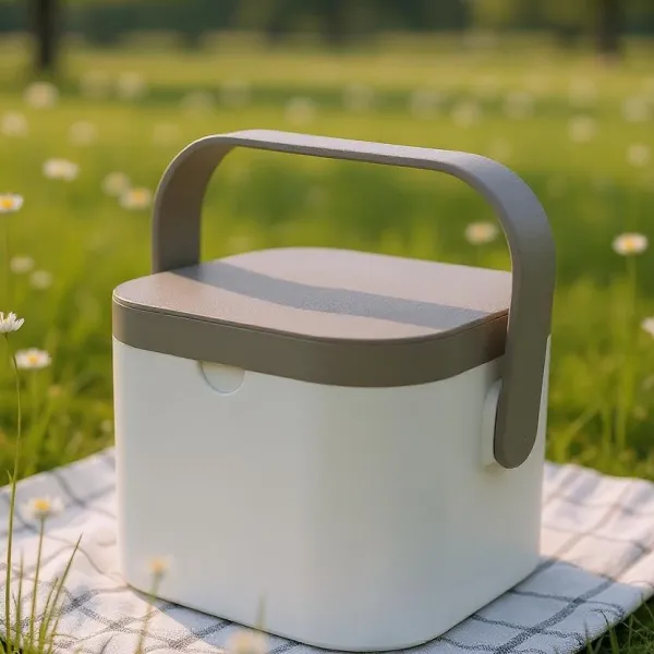 Freezable Can Carrier – 4-Drink Cooler Box