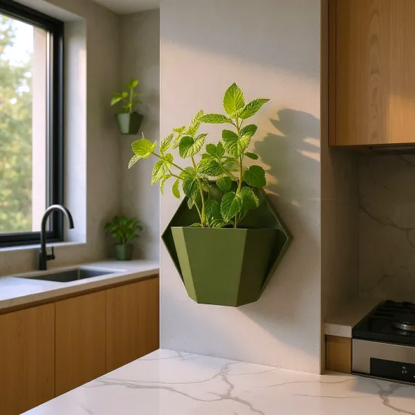 Geometric wall planter for herbs