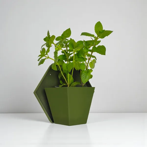 Geometric wall planter for herbs