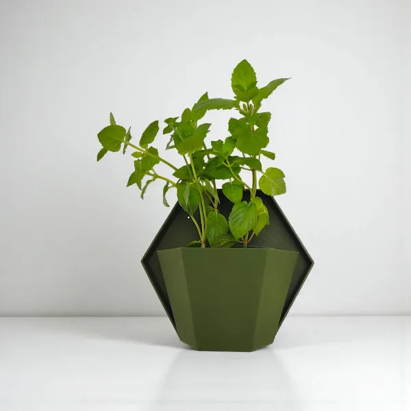 Geometric wall planter for herbs