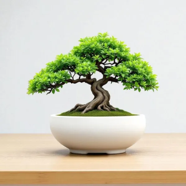 Bonsai Pot